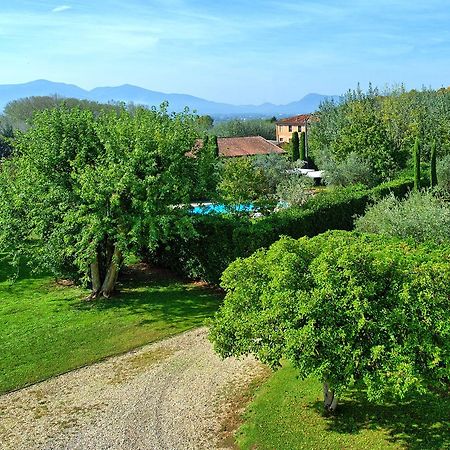 Villa Fiamma By Posarellivillas Piaggiori Exterior foto
